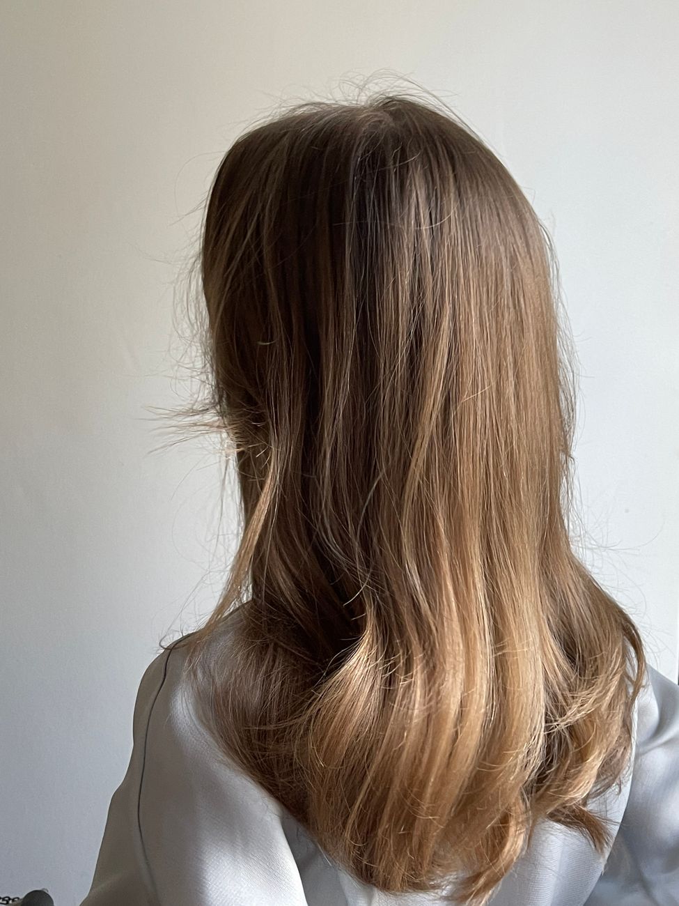 Wet Balayage: The Secret Behind the Ultimate Glossy Finish 1 brown and straight woman hair