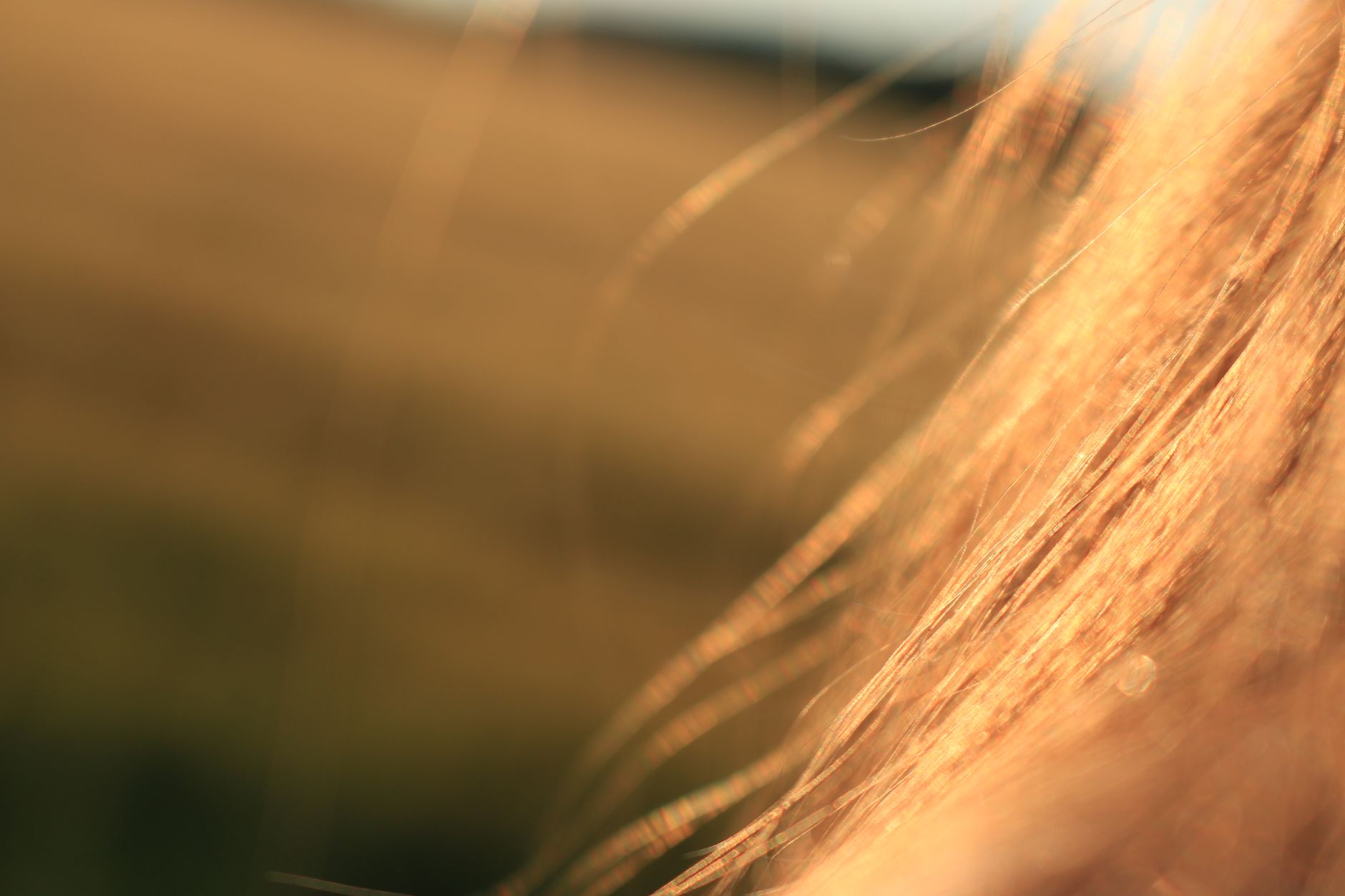 The Science of Disulfide Bonds in Texture Services 1 brown hair