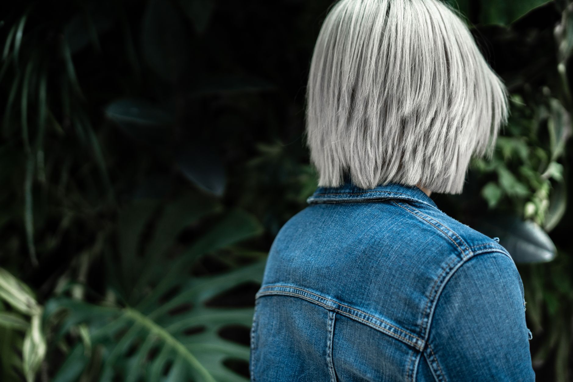 Going Platinum: What to Expect During Your Blonding Journey 1 person wearing blue denim jacket