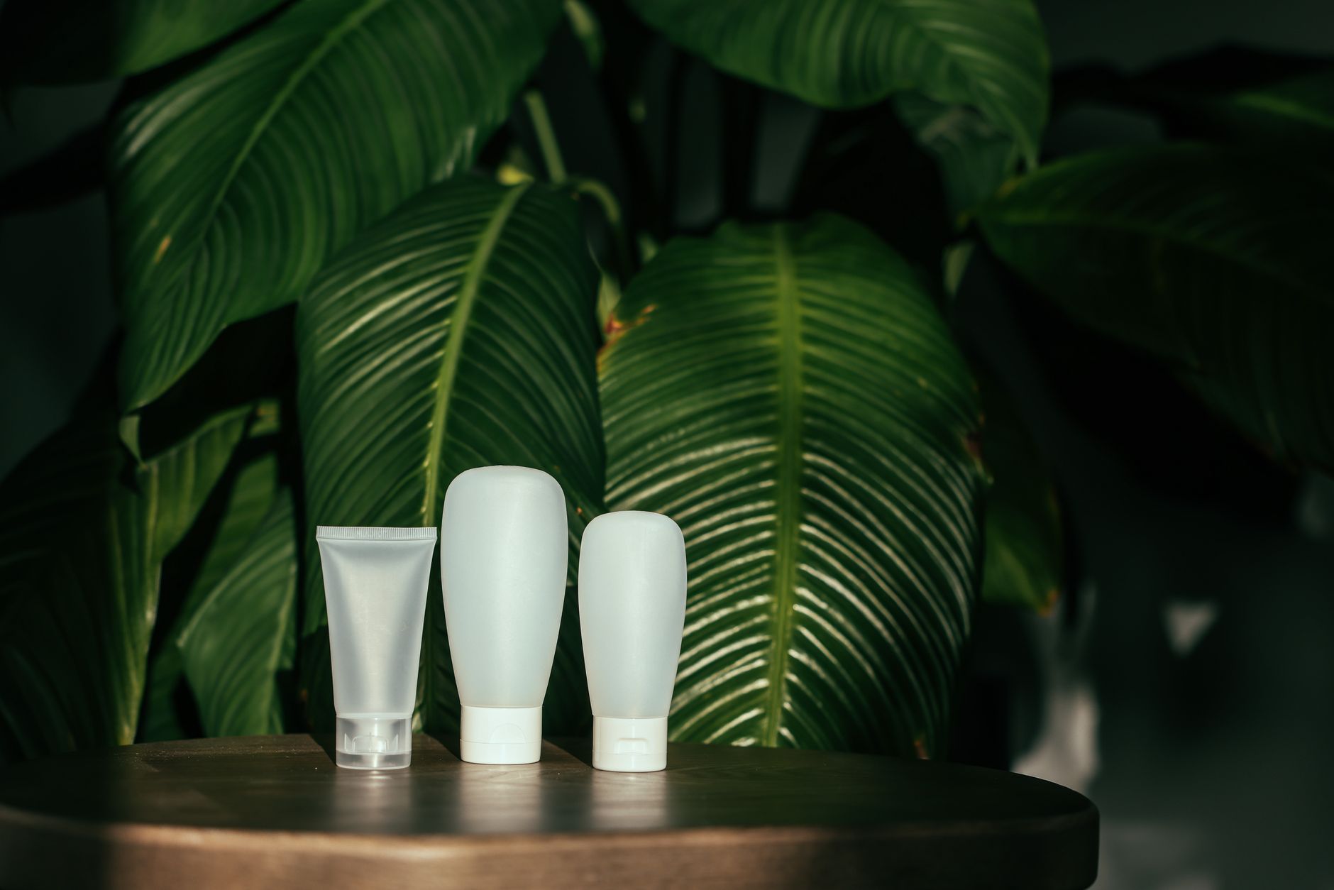 Biodegradable Hair Care: The Future of Styling Products and Sustainability 1 a plastic containers on a wooden table