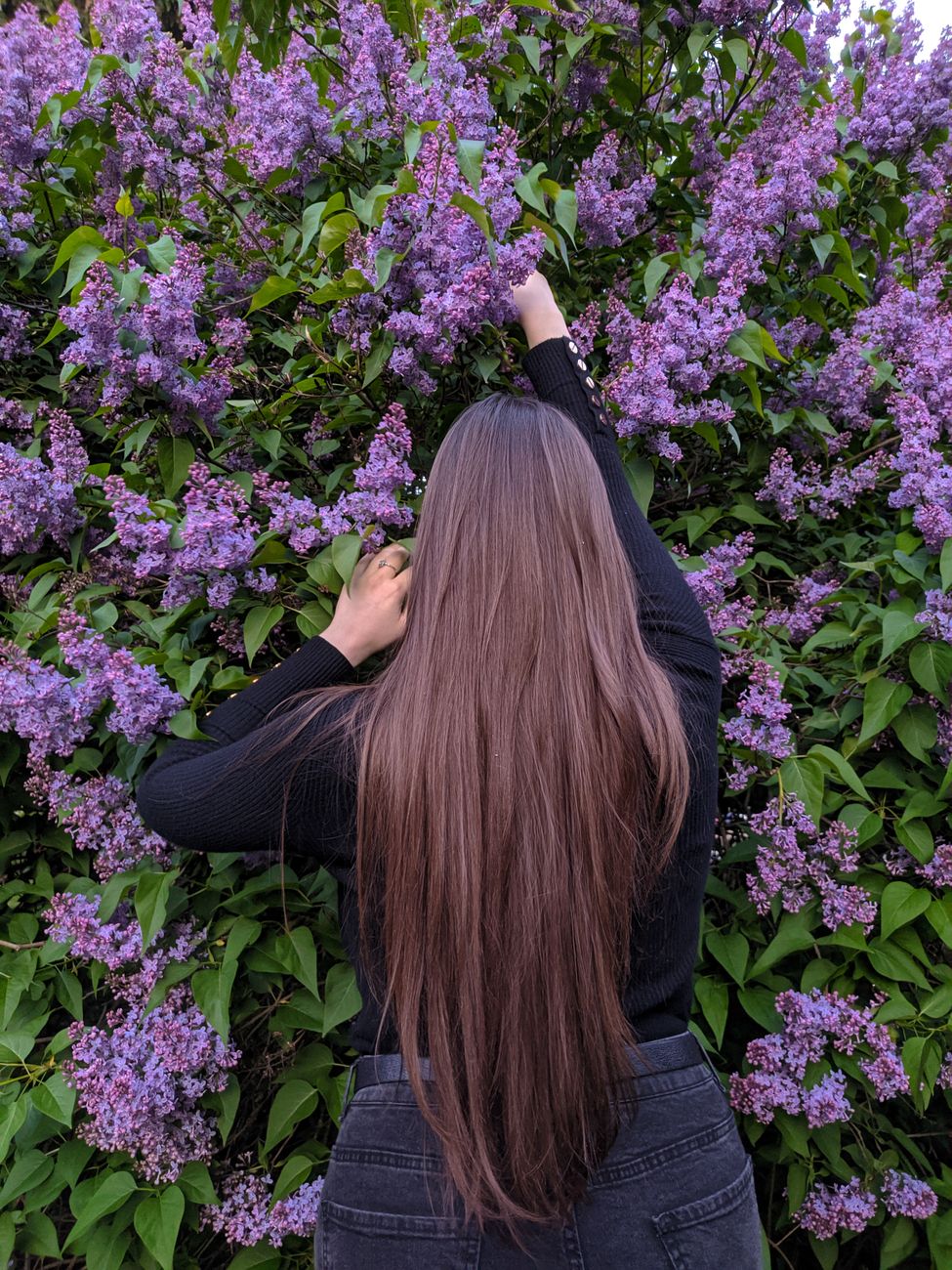 woman in black long sleeve shirt standing beside purple flowers